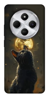 Чехол на Xiaomi Redmi 14C / Poco C75 Кот под луной v2 фото 1 из 1