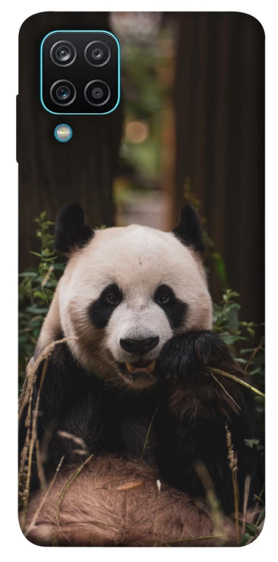 Чехол на Samsung Galaxy M12 Панда фото 1 из 1