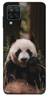 Чохол на Samsung Galaxy M12 Панда фото 1 з 1