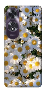 Чехол на Oppo A60 Поле ромашек фото 1 из 1