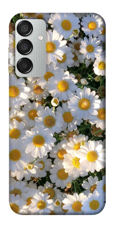 Чохол на Samsung Galaxy M15 5G Поле ромашок фото 1 з 1
