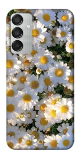 Чохол на Samsung Galaxy M15 5G Поле ромашок фото 1 з 1