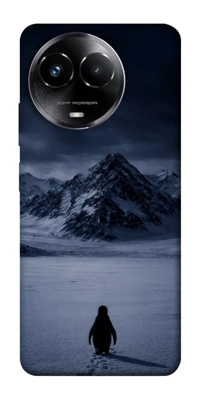 Чехол на Realme C67 4G But why? фото 1 из 1