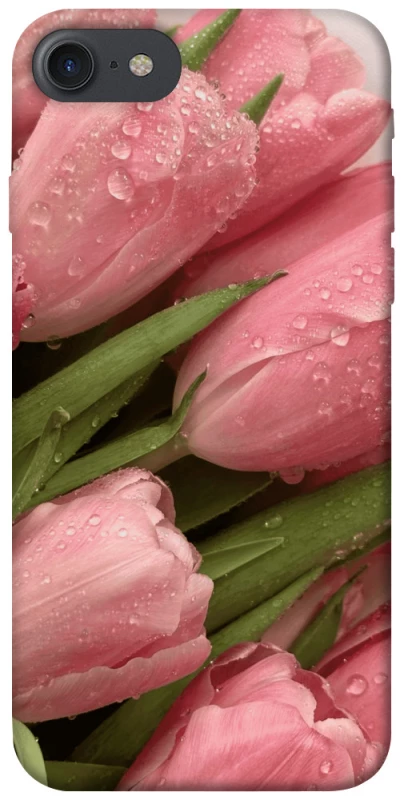 Чохол на Apple iPhone 7 / 8 (4.7") Beauty фото 1 з 1