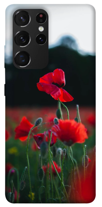 Чехол на Samsung Galaxy S21 Ultra Мак фото 1 из 1