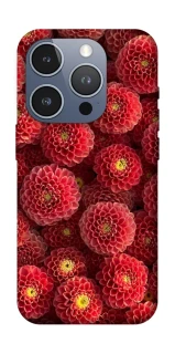 Чохол на Apple iPhone 16 Pro Midnight1 фото 1 з 1