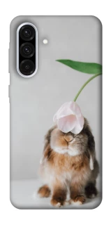 Чохол на Samsung Galaxy A36 5G Bunny фото 1 з 1