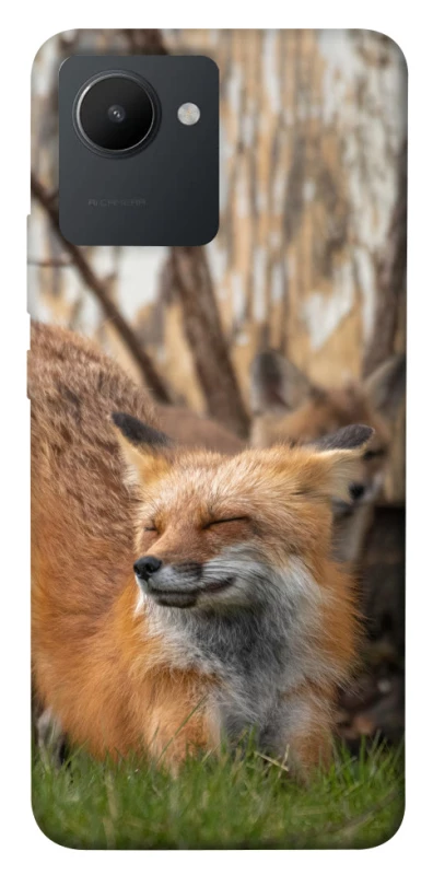 Чехол на Realme C30s Лиса фото 1 из 1