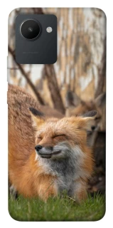 Чехол на Realme C30s Лиса фото 1 из 1