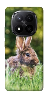 Чехол на Xiaomi Redmi Note 14 Pro+ 5G Кролики фото 1 из 1