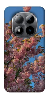 Чохол на Xiaomi Redmi Note 15 Pro 5G Flowers v4 фото 1 з 1