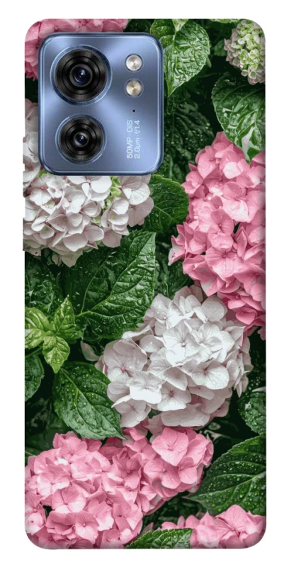 Чохол на Motorola Edge 40 Secret Garden фото 1 з 1