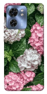 Чехол на Motorola Edge 40 Secret Garden фото 1 из 1