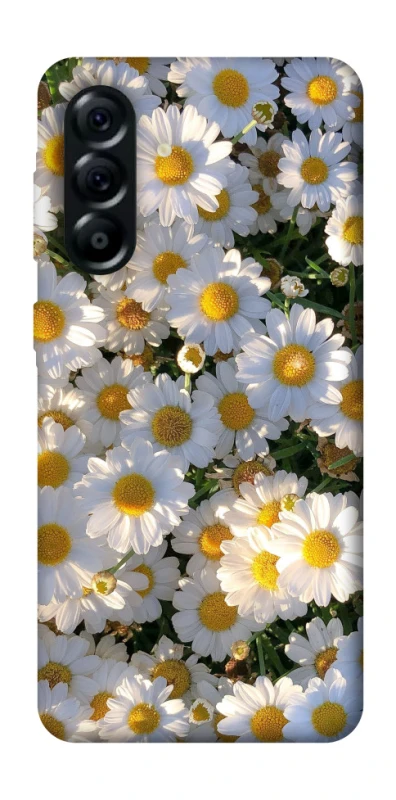 Чехол на Samsung Galaxy A57 5G Поле ромашек фото 1 из 1