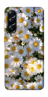 Чехол на Samsung Galaxy A57 5G Поле ромашек фото 1 из 1