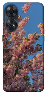 Чохол на Oppo Reno 8T 4G Flowers v4 фото 1 з 1