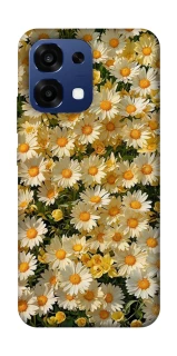 Чохол на Oppo A6 Pro 4G/5G Camomile фото 1 з 2