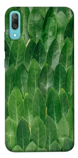 Чохол на Huawei Y6 Pro (2019) Листя фото 1 з 1