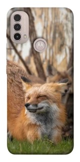 Чехол на Motorola Moto E40 Лиса фото 1 из 1