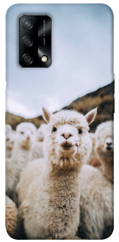 Чехол на Oppo A74 4G Лама фото 1 из 1