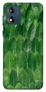 Чехол на Motorola Moto E13 Листья фото 1 из 1