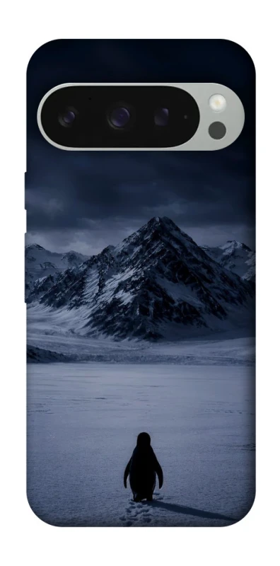 Чехол на Google Pixel 10 Pro XL But why? фото 1 из 1