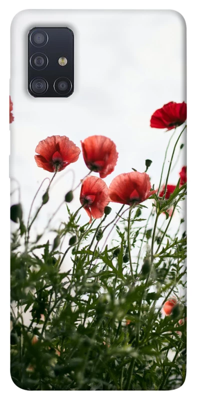 Чохол на Samsung Galaxy M51 Поле маків фото 1 з 1