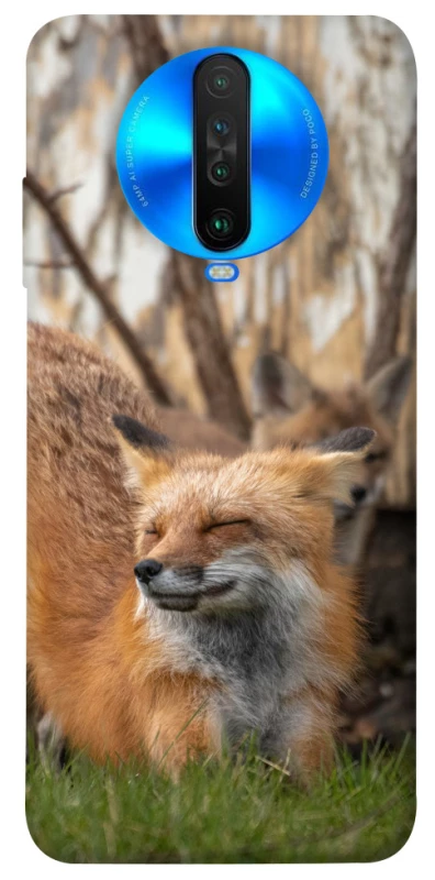 Чохол на Xiaomi Poco X2 Лисиця фото 1 з 1