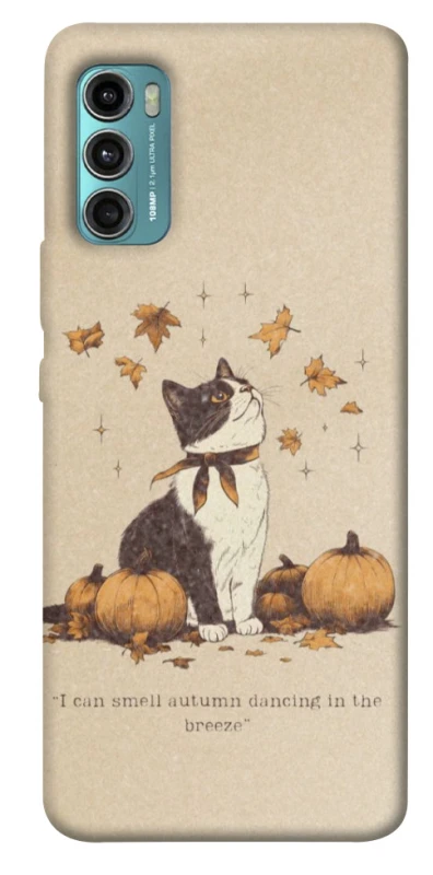 Чехол на Motorola Moto G60 Autumn vibes ver.3 фото 1 из 1