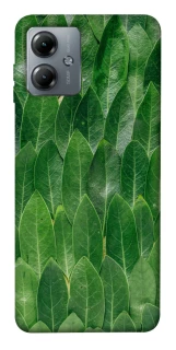 Чохол на Motorola Moto G14 Листя фото 1 з 1
