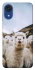 Чохол на Samsung Galaxy A03 Core Лама фото 1 з 1