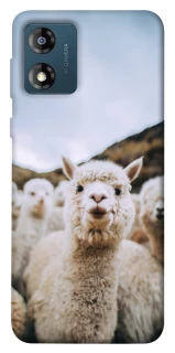 Чохол на Motorola Moto E13 Лама фото 1 з 1