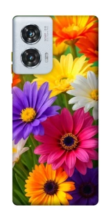 Чохол на Motorola Edge 50 Fusion Flowers v32 фото 1 з 1