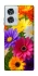 Чехол на Motorola Edge 50 Fusion Flowers v32 фото 1 из 1