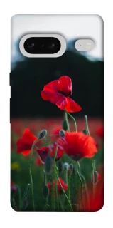 Чехол на Google Pixel 7 Мак фото 1 из 1