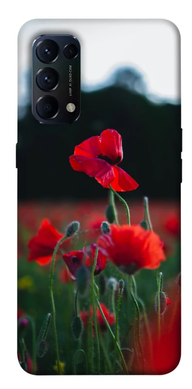 Чехол на Oppo Reno 5 4G Мак фото 1 из 1