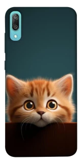 Чохол на Huawei Y6 Pro (2019) Чохол Кошеня фото 1 з 1