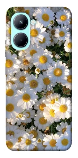 Чохол на Realme C33 Поле ромашок фото 1 з 1