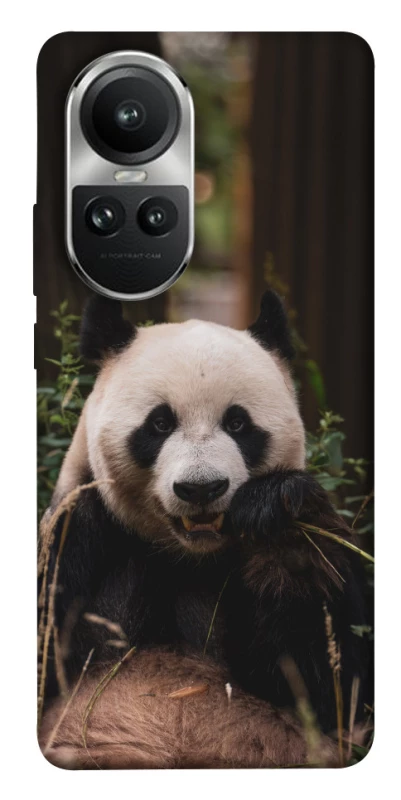 Чехол на Oppo Reno 10 Панда фото 1 из 1