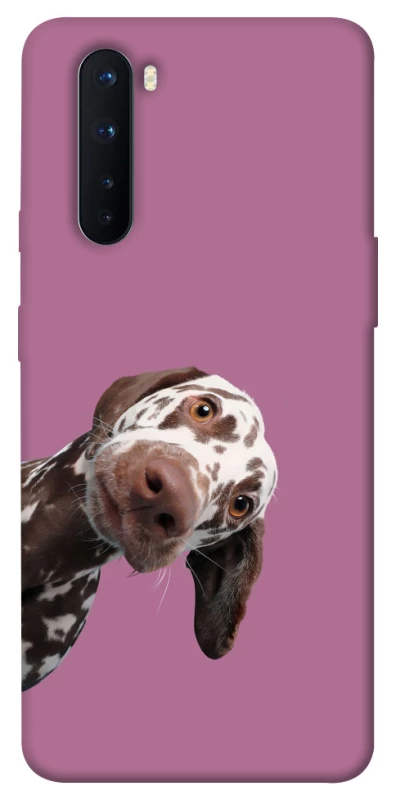 Чехол на OnePlus Nord А что тут фото 1 из 1