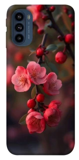 Чехол на Motorola Moto G41 Flowers v28 фото 1 из 1