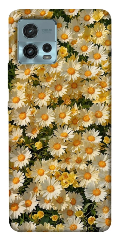 Чохол на Motorola Moto G72 Camomile фото 1 з 1