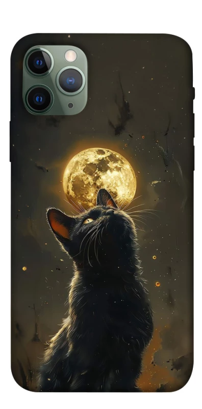 Чехол на Apple iPhone 11 Pro (5.8") Кот под луной v2 фото 1 из 1