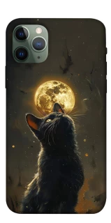 Чохол на Apple iPhone 11 Pro (5.8") Кіт під місяцем v2 фото 1 з 1