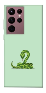 Чохол на Samsung Galaxy S22 Ultra Змійка фото 1 з 1