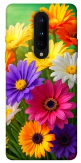 Чехол на OnePlus 8 Flowers v32 фото 1 из 1