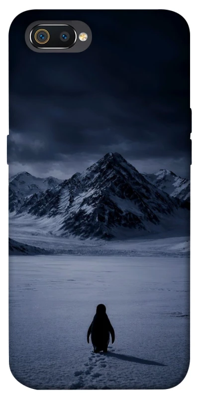 Чохол на Realme C2 But why? фото 1 з 1