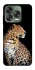 Чохол на ZTE Nubia V70 Design Leopard v2 фото 1 з 1
