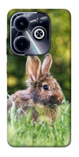 Чехол на Infinix Hot 40i Кролики фото 1 из 1