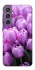 Чохол на Samsung Galaxy S23 FE Фіолетові тюльпани фото 1 з 1